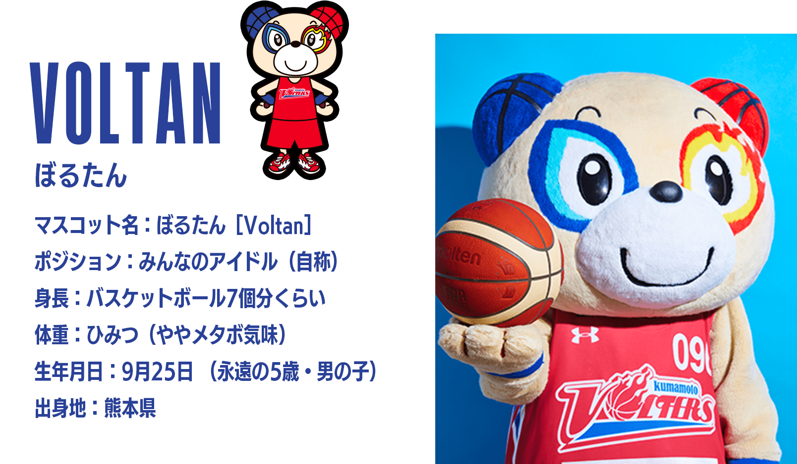 VOLTAN ぼるたん プロフィール